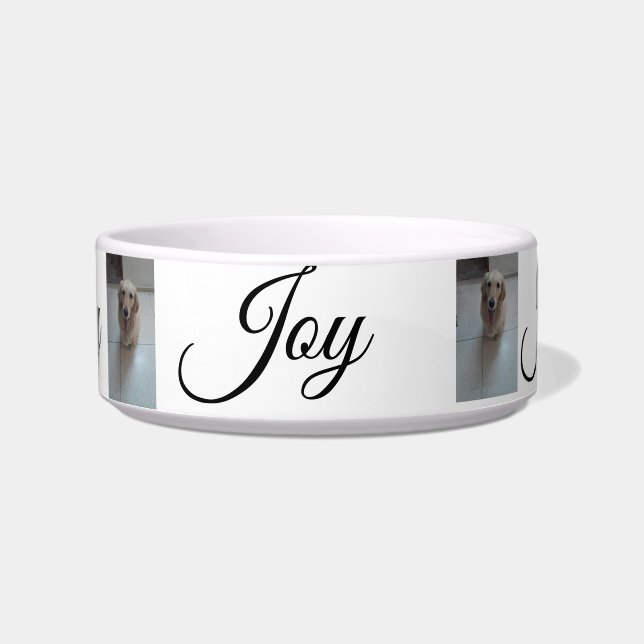 Écuelle "Whisker Haven : Bols pour animaux de compagnie él (Devant)