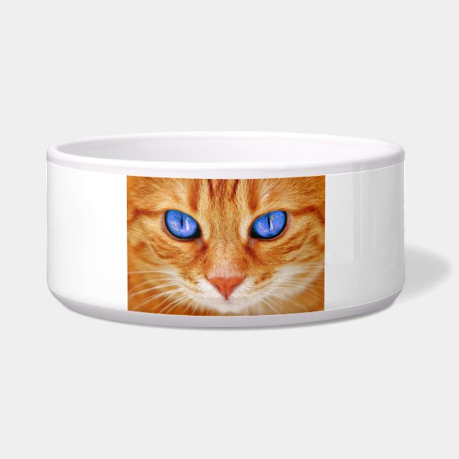 Écuelle Yeux de chat Face maquereau rouge Chat (Devant)