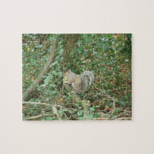 Écureuil au puzzle Acorn