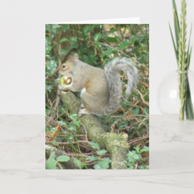 Écureuil avec carte de voeux Acorn (Devant)