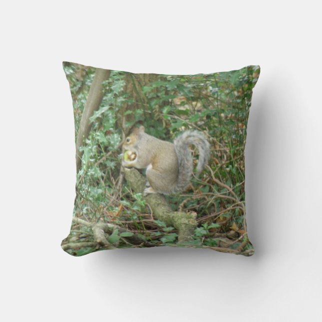 Écureuil avec Coussin Acorn (Recto)
