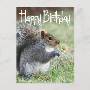 Cartes Postales Joyeux Anniversaire Ecureuil Originales Zazzle Fr