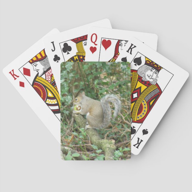 Écureuil avec des cartes de jeu Acorn (dos)