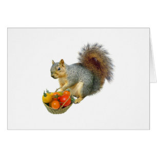 Écureuil avec le panier des tomates