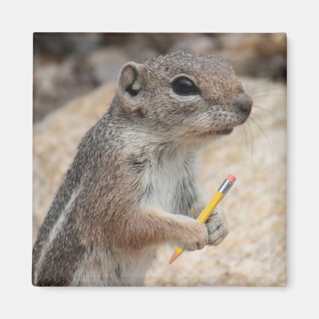 Écureuil avec un aimant au crayon (Devant)