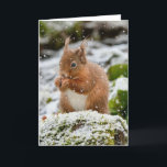 Écureuil dans la neige Carte de Noël<br><div class="desc">Écureuil de Noël</div>