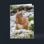 Écureuil dans la neige Carte de Noël<br><div class="desc">Écureuil de Noël</div>