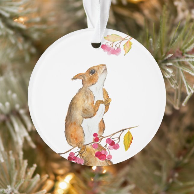 Écureuil d'aquarelle drôle sur une branche avec de (Arbre)