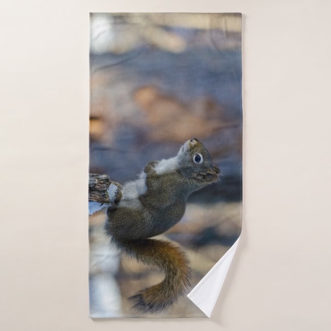 Écureuil d'hiver : Nature (Serviette de bain)