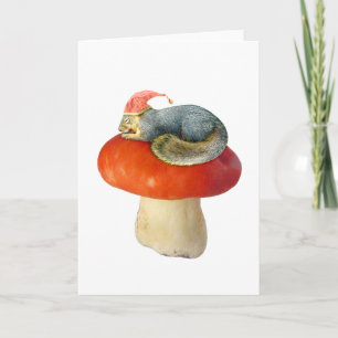 Écureuil dormant sur la carte de champignon rouge
