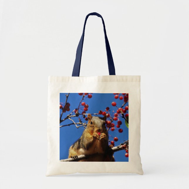 Écureuil du Kansas mangeant du Sac fourre-tout aux (Devant)