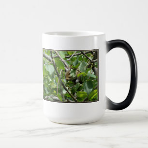 Écureuil masquant la Mug