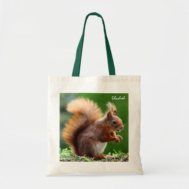 Écureuil mignon sur sac en herbe (Devant)