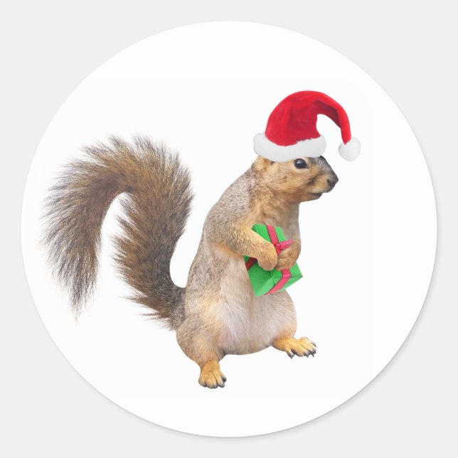 Écureuil père Noël avec Stickers Cadeau Vert (Devant)