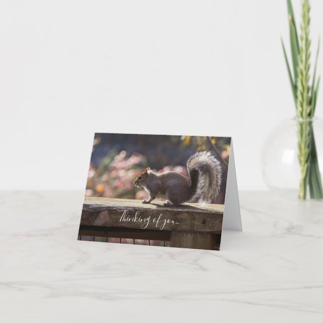 Écureuil Qui Joue Penser À Votre Carte (Devant)