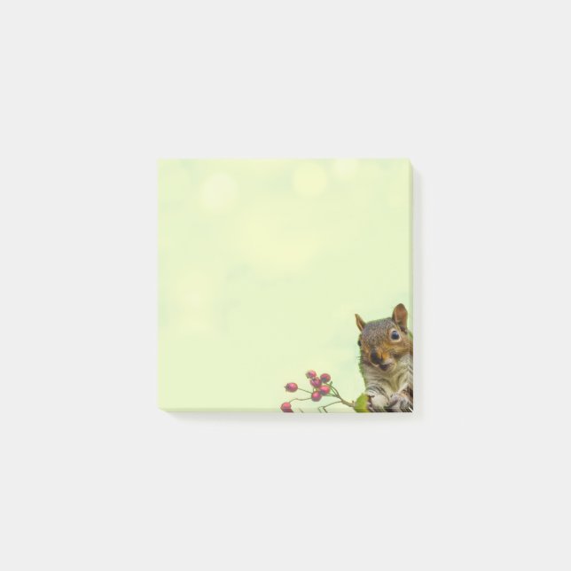 Écureuil sauvage mignon sur des notes Post-it vert (Devant)