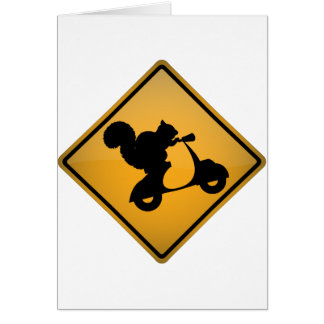 Écureuil sur le scooter