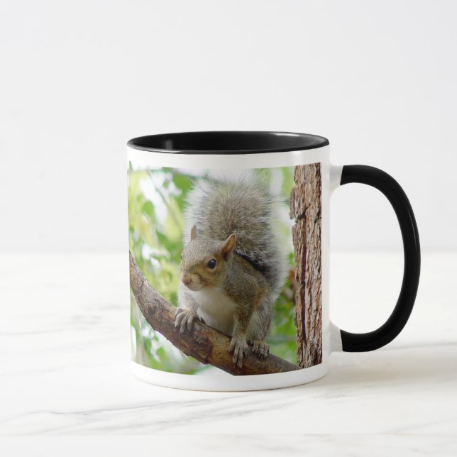 Écureuil sur une tasse d'animal de branche (Droite)