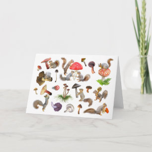 Écureuils avec carte aux champignons