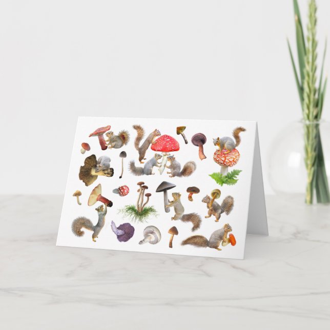 Écureuils avec carte aux champignons (Devant)