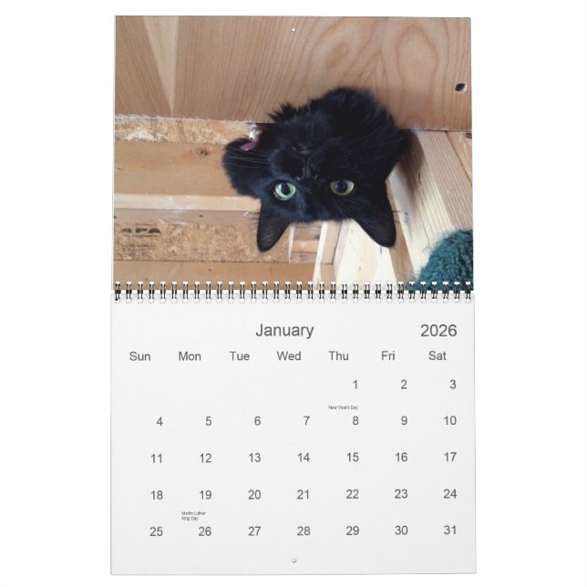 Edgar, Obi et calendrier 2015 de chat d'Adara (Jan 2026)