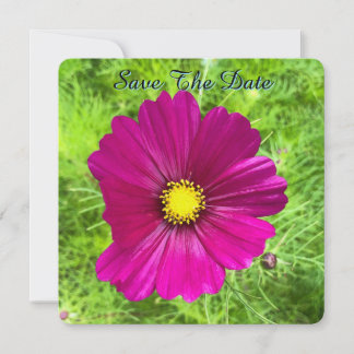 Édition Mind : Cosmos Save The Date