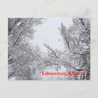Edmonton (Alberta) Carte Winter Post