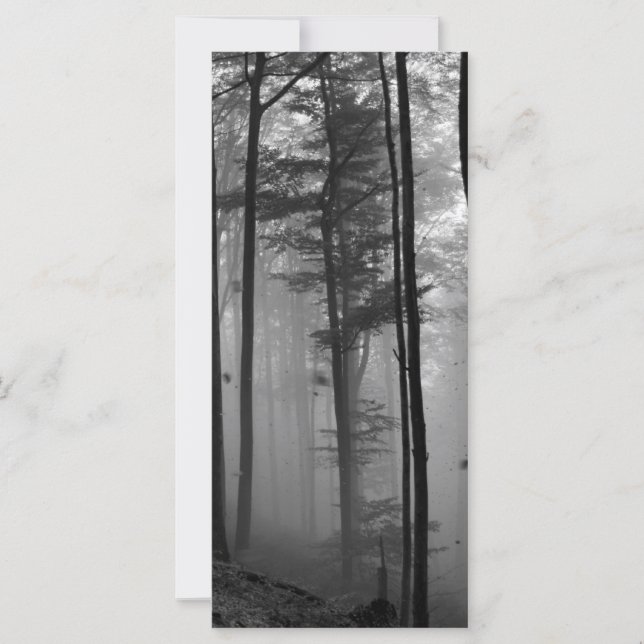 EERIE FOREST TREIDS FEUILLE B&W (Devant)