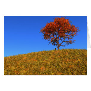 Effacer la carte de jour d'automne