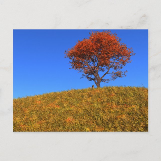 Effacer la carte postale du jour d'automne (Devant)