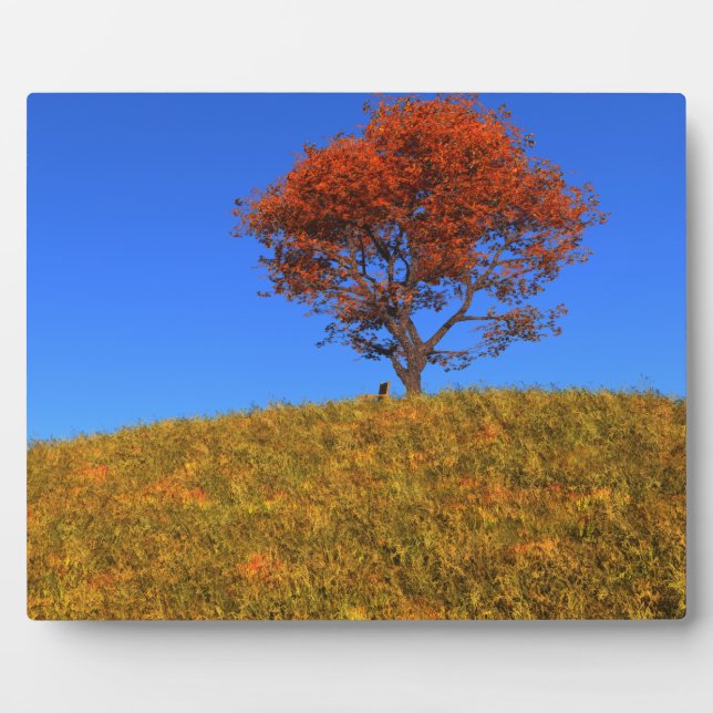 Effacer la plaque photo du jour d'automne (Devant)