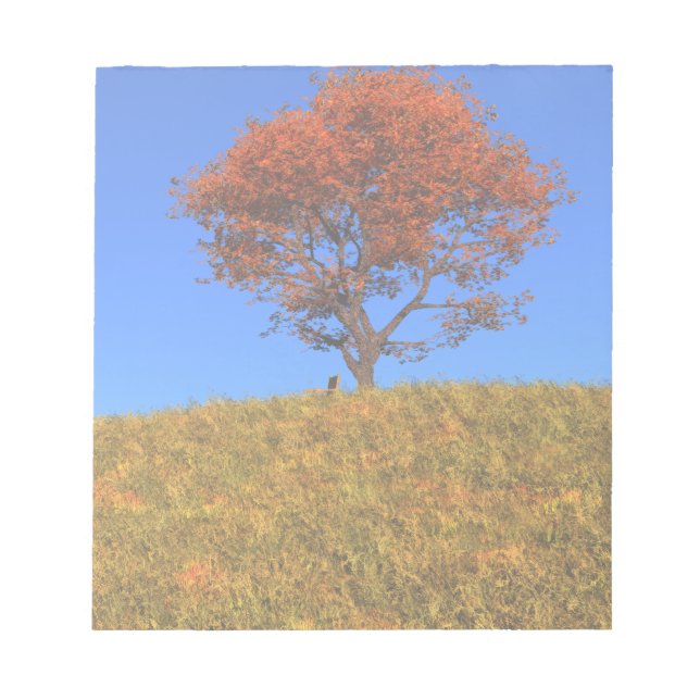 Effacer le Bloc-notes du jour d'automne (Devant)