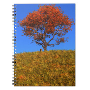 Effacer le Carnet du jour d'automne
