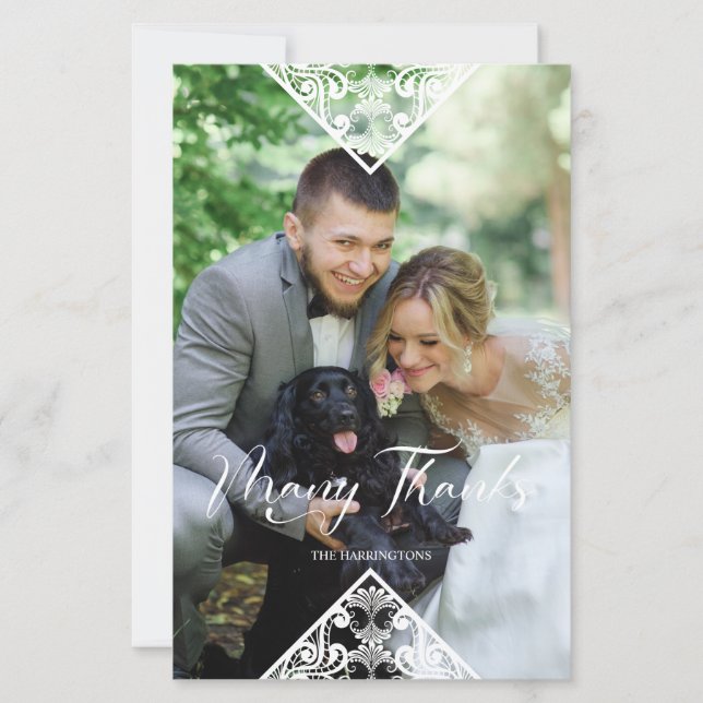 Effet dentelle photo pour animal de compagnie budg (Devant)