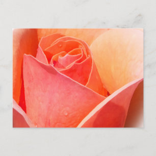 Effet rose aquarelle Floral Carte postale