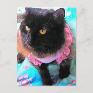 effet tot de fleur Carte postale