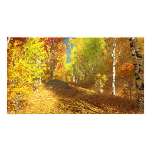 Effondrement de l'impression photo légère