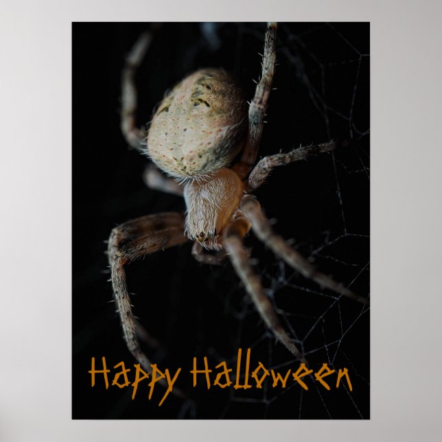 Éffrayant Spider Web - Poster d'Halloween (Devant)