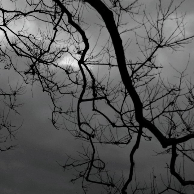 ÉFFRAYANTS ARBRES HEUREUX HALLOWEEN PLIÉ Carte de  (Créateur téléchargé)