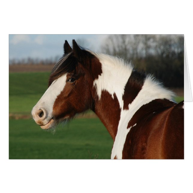 Egehojs Maj (Devant horizontal)