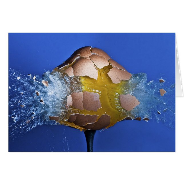 Eggceptional (Devant horizontal)