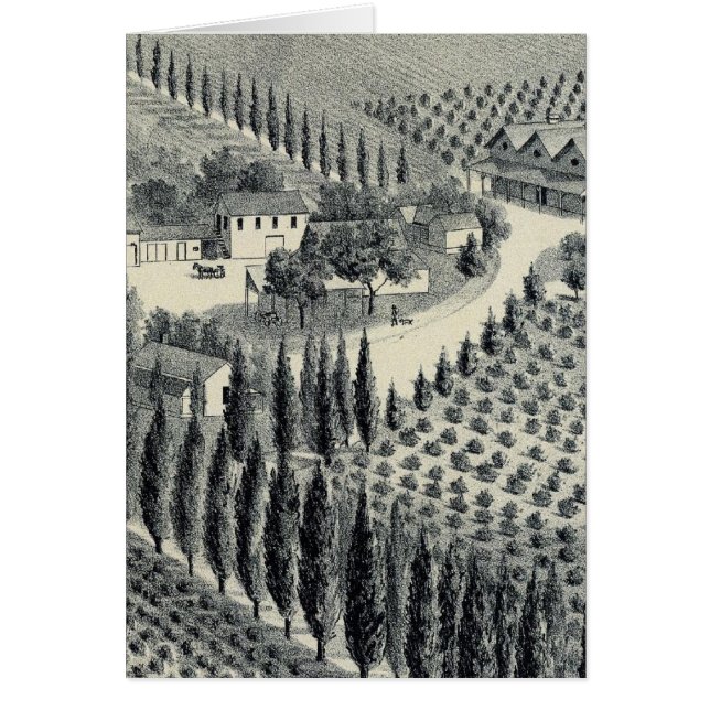 Eggers Vineyard, Fresno (Devant)