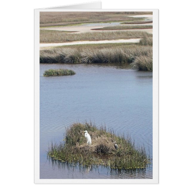 Egret à la maison (Devant)