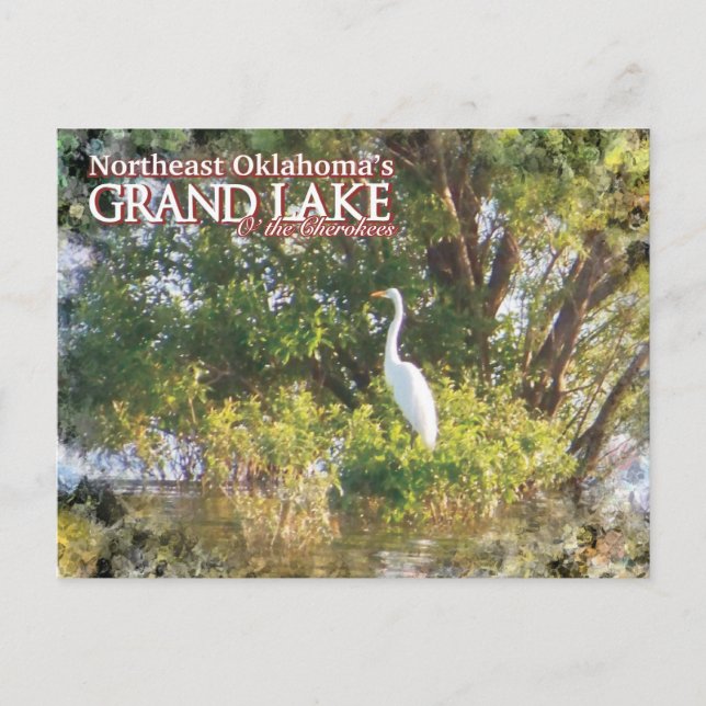egret de carte postale Grand Lake Oklahoma (Devant)