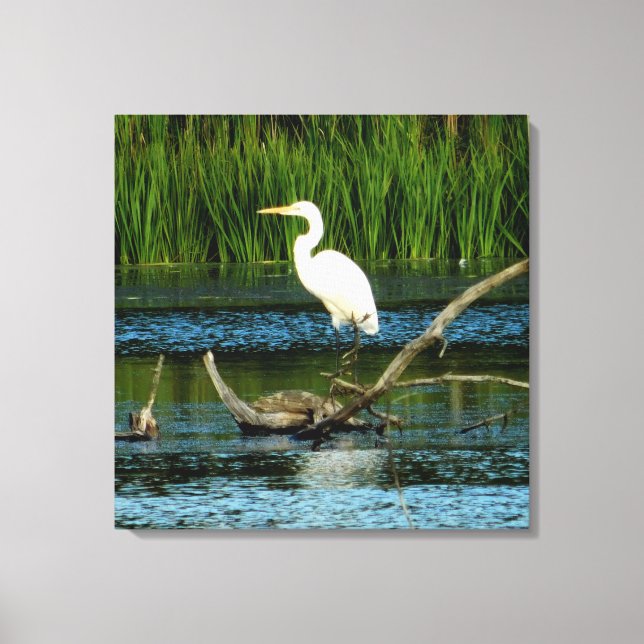 Egret neigeux sur toile de journal Imprimer (Recto)