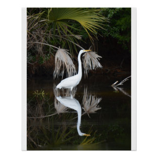 Egret & Reflection Photo Poster brillant