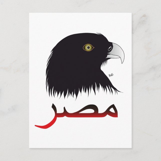 Égypte - Egypte Carte postale (Devant)