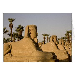 Egypte, Louxor. L'avenue des Sphinx mène à