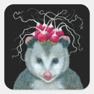 Einstein les autocollants opossum