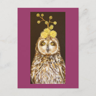 Ekewaka pueo courte oreille carte postale